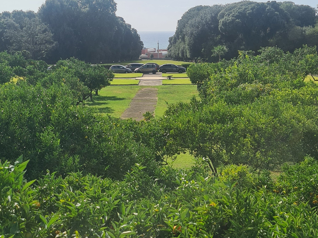 Reggia di Portici Herculanense Museum-Portici必去景点