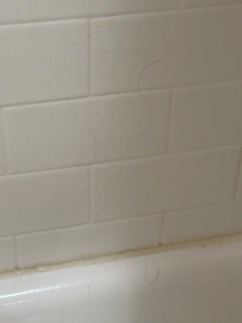 La Quinta Inn & Suites by Wyndham Kingsville主图