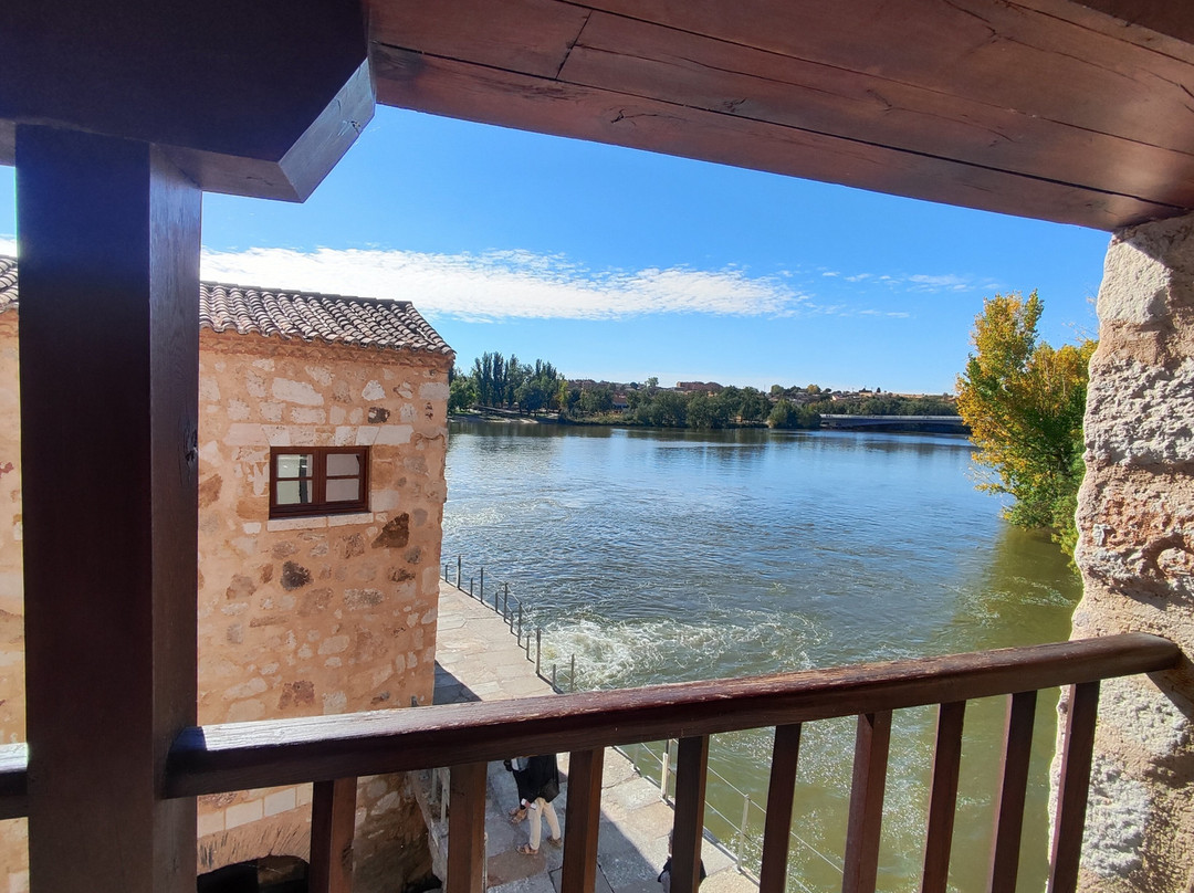 Aceñas de Olivares-萨莫拉必去景点