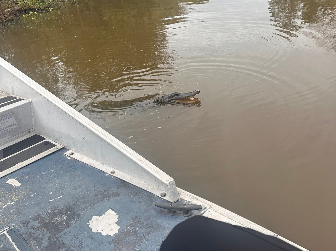 Ragin Cajun Airboat Tours-新奥尔良必去景点