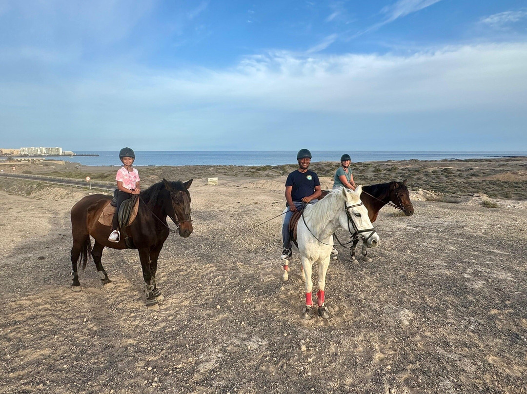 Hipica Cuadras El Medano-El Medano必去景点