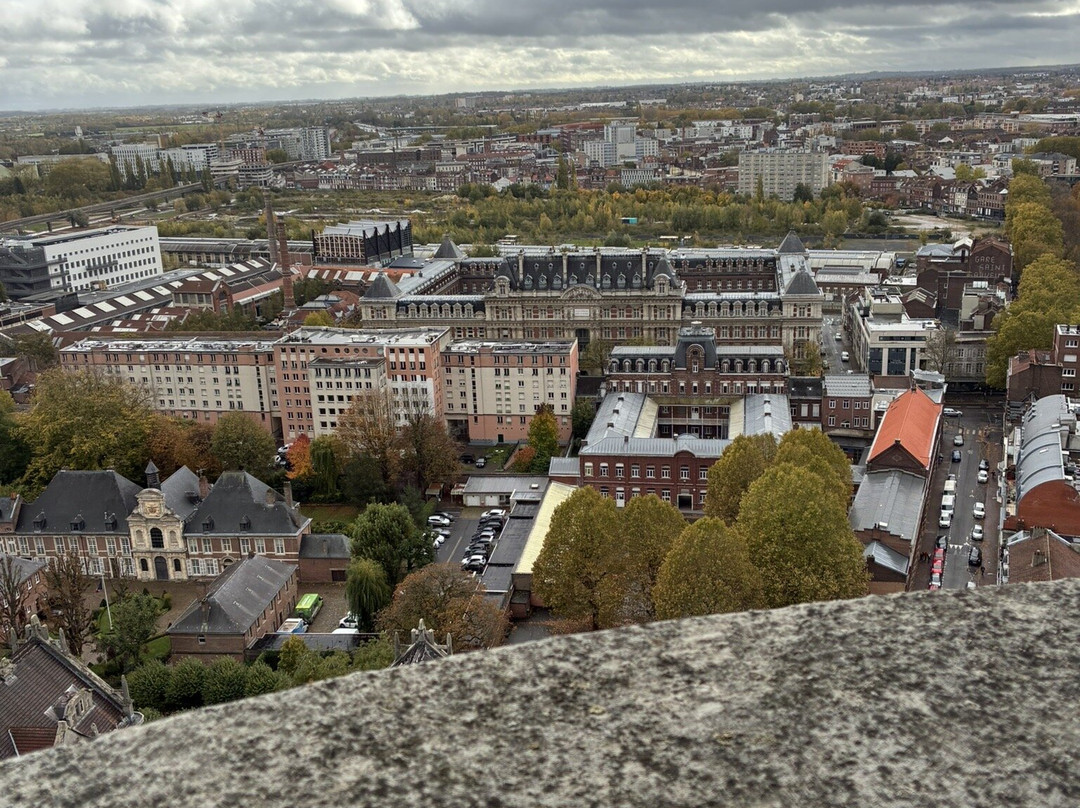 Beffroi de l'Hôtel de Ville-里尔必去景点