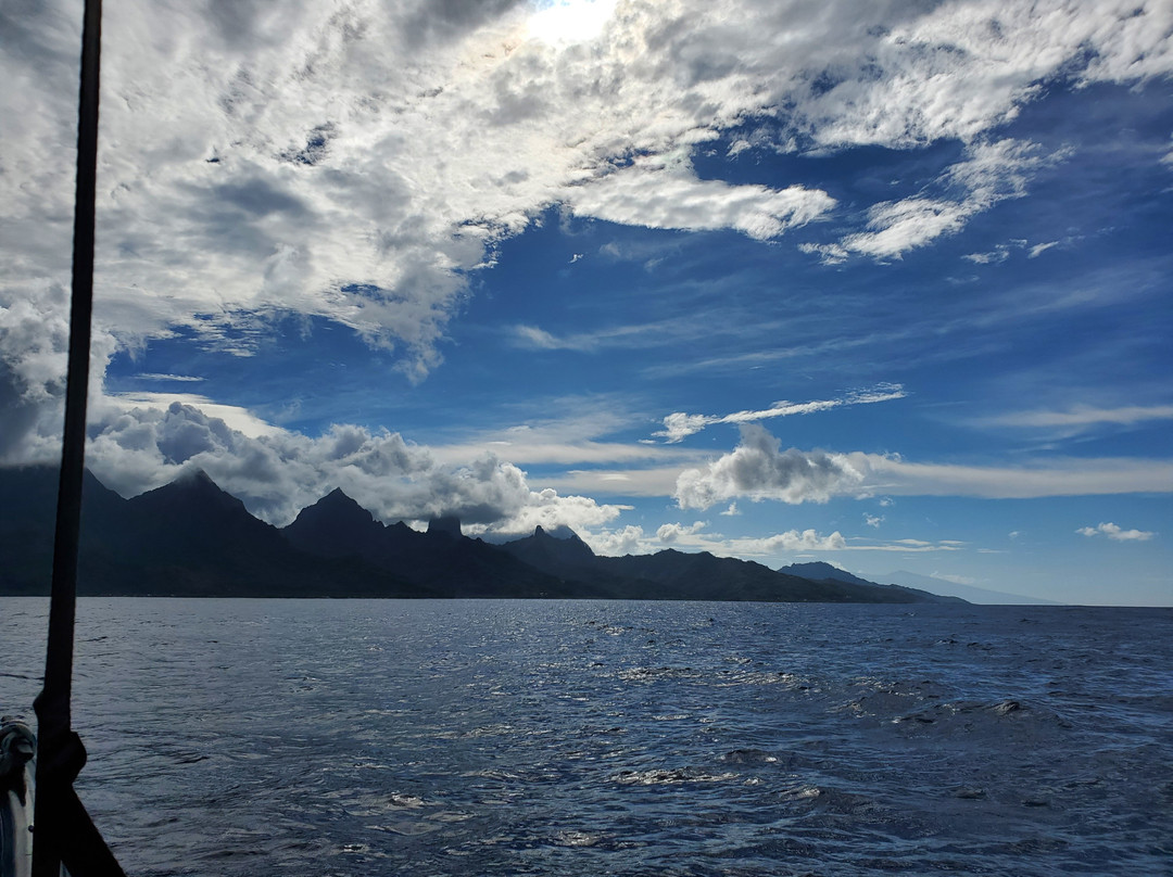 Koa Boat Tour-Tiahura必去景点