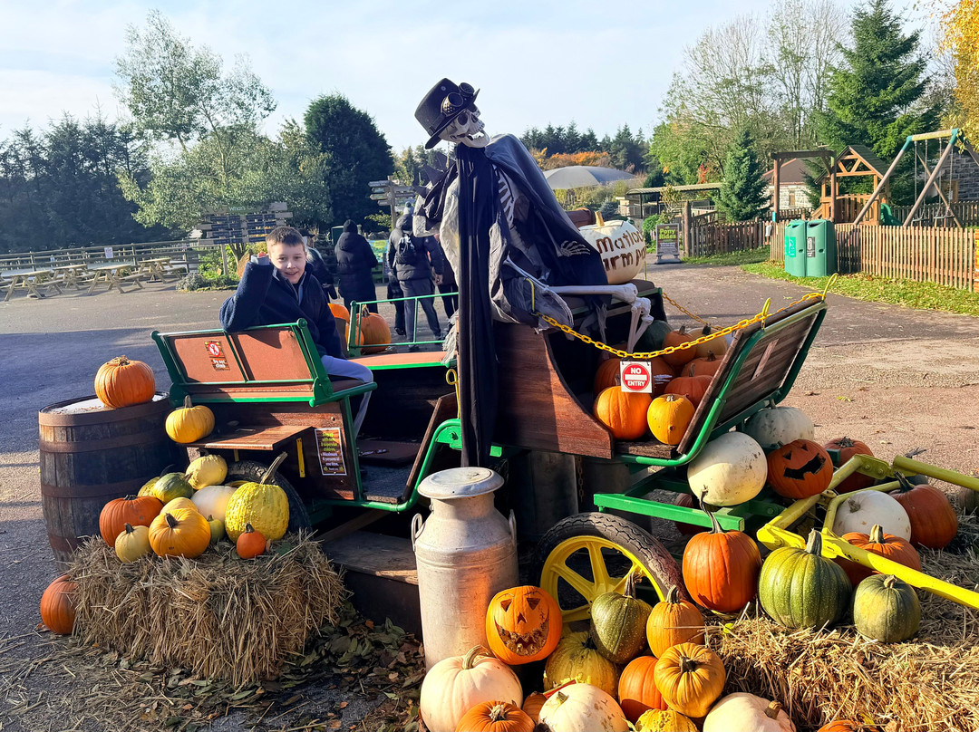 Matlock Farm Park-马特洛克必去景点