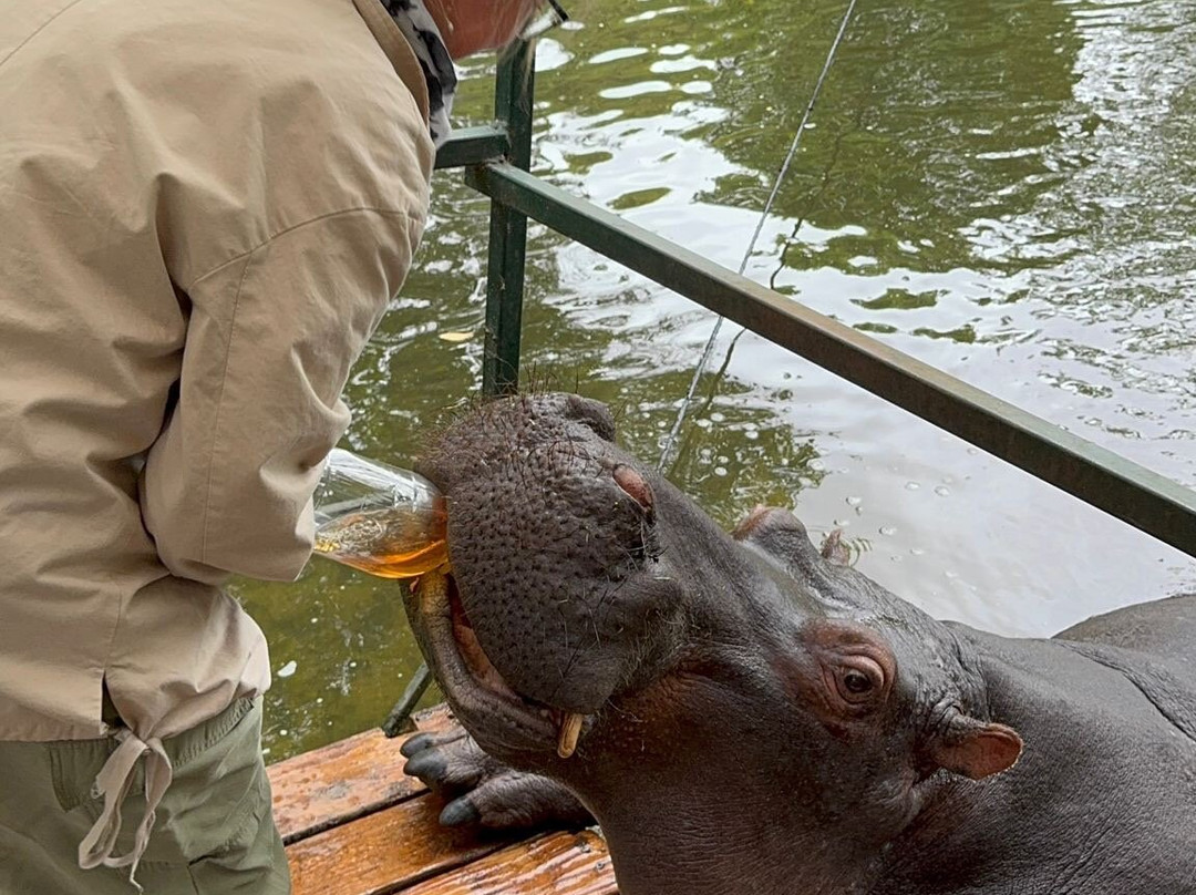 Hippo Jessica-霍德斯普鲁特必去景点