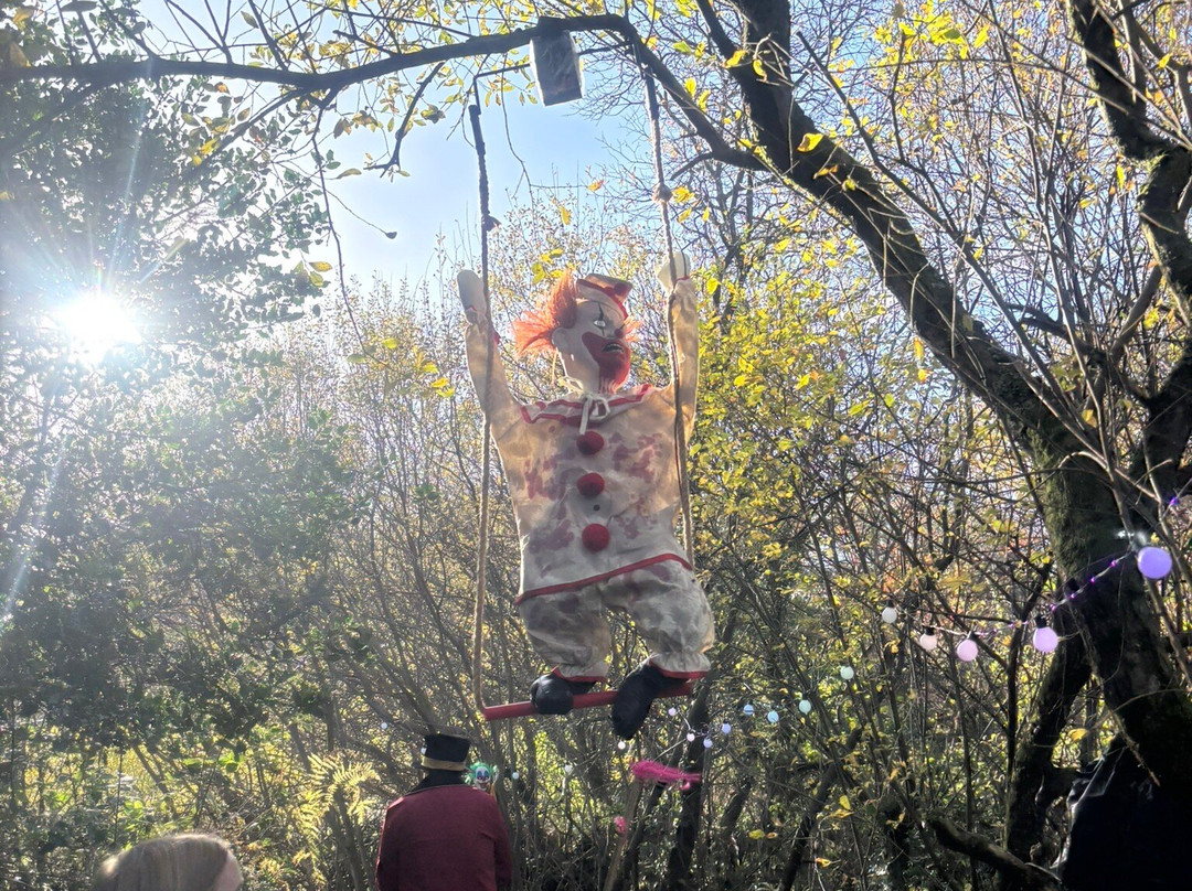 BallyBurren Outdoor Escapes-Ballynahinch必去景点