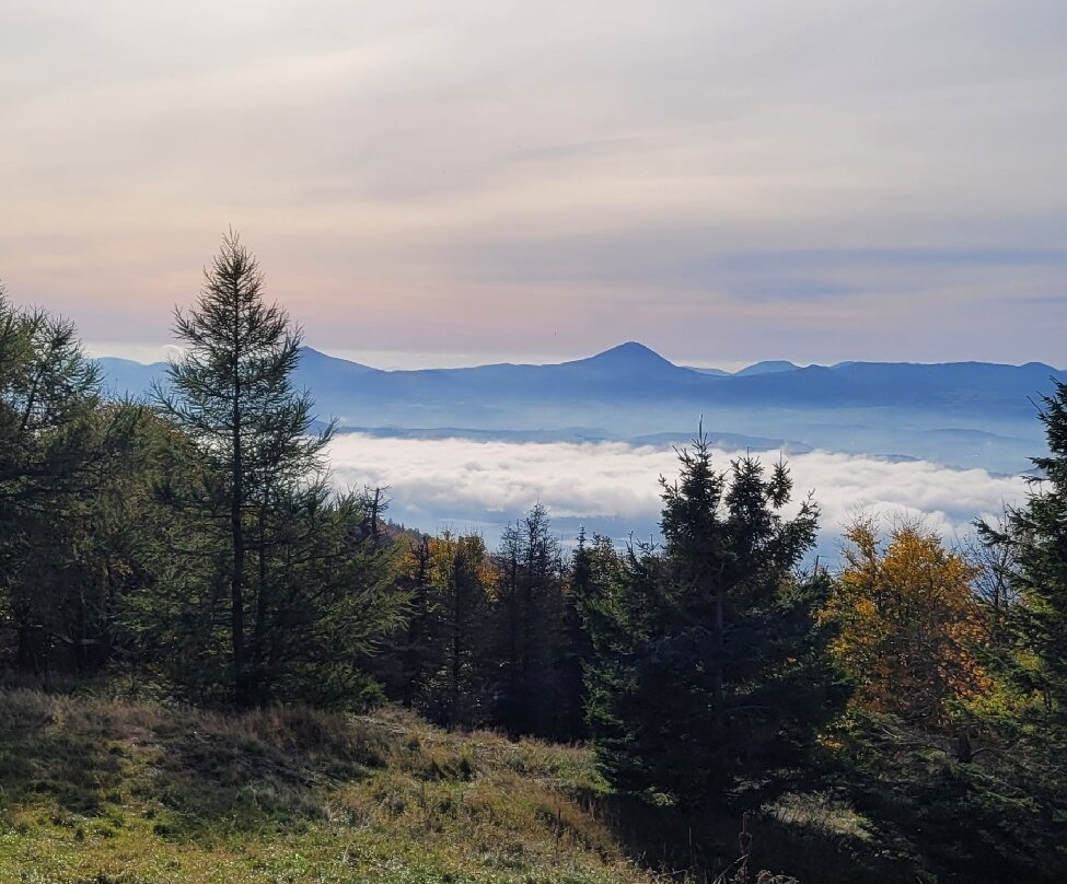 Hotel Zum Baren主图