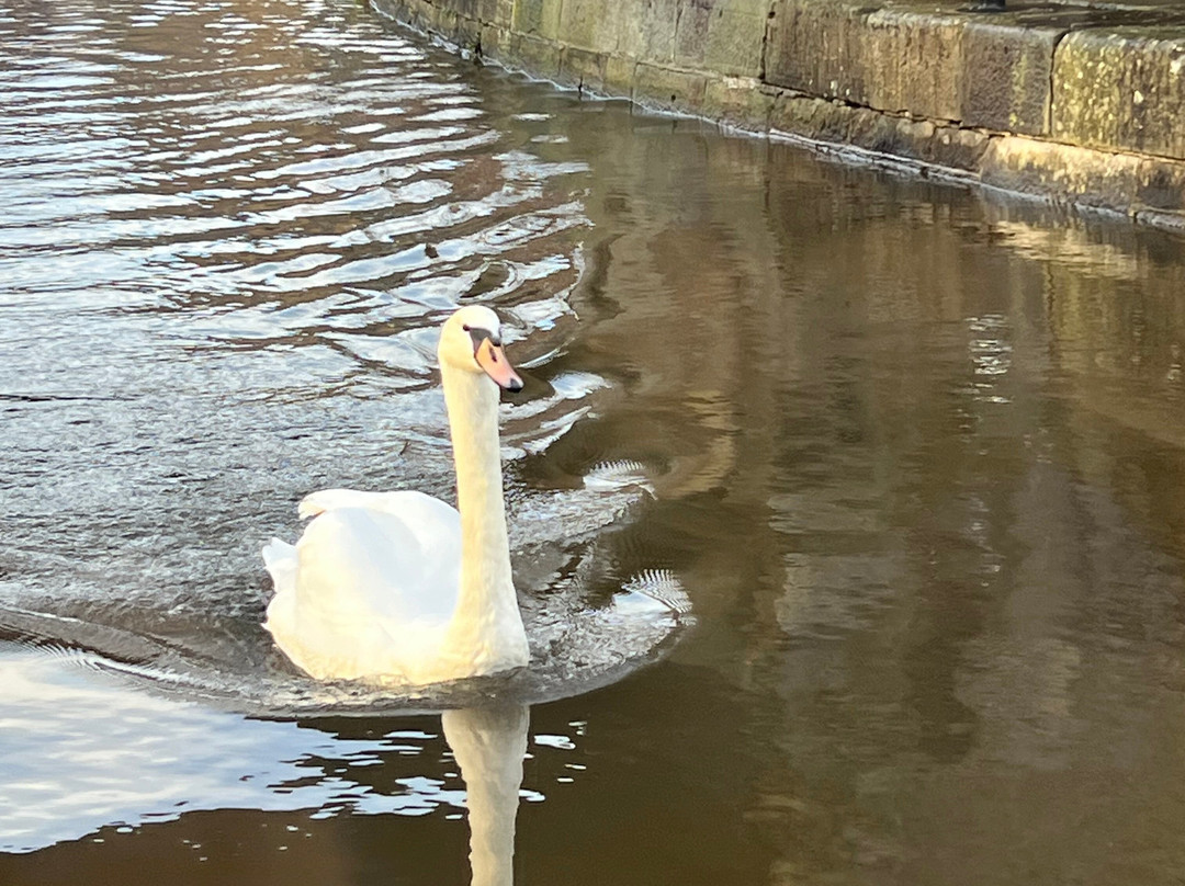 Pennine Cruisers of Skipton-斯基普顿必去景点