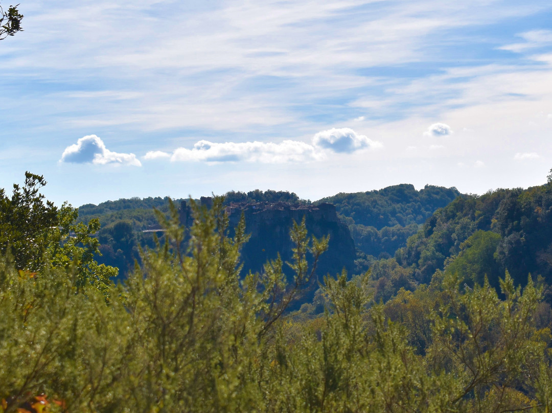 Opera Bosco - Museo di Arte nella Natura-Calcata必去景点