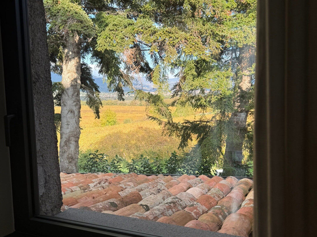 Dimora Cottanera主图