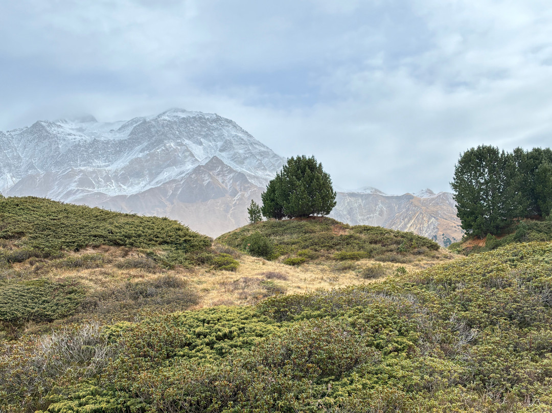 Family hotel Clarezia主图