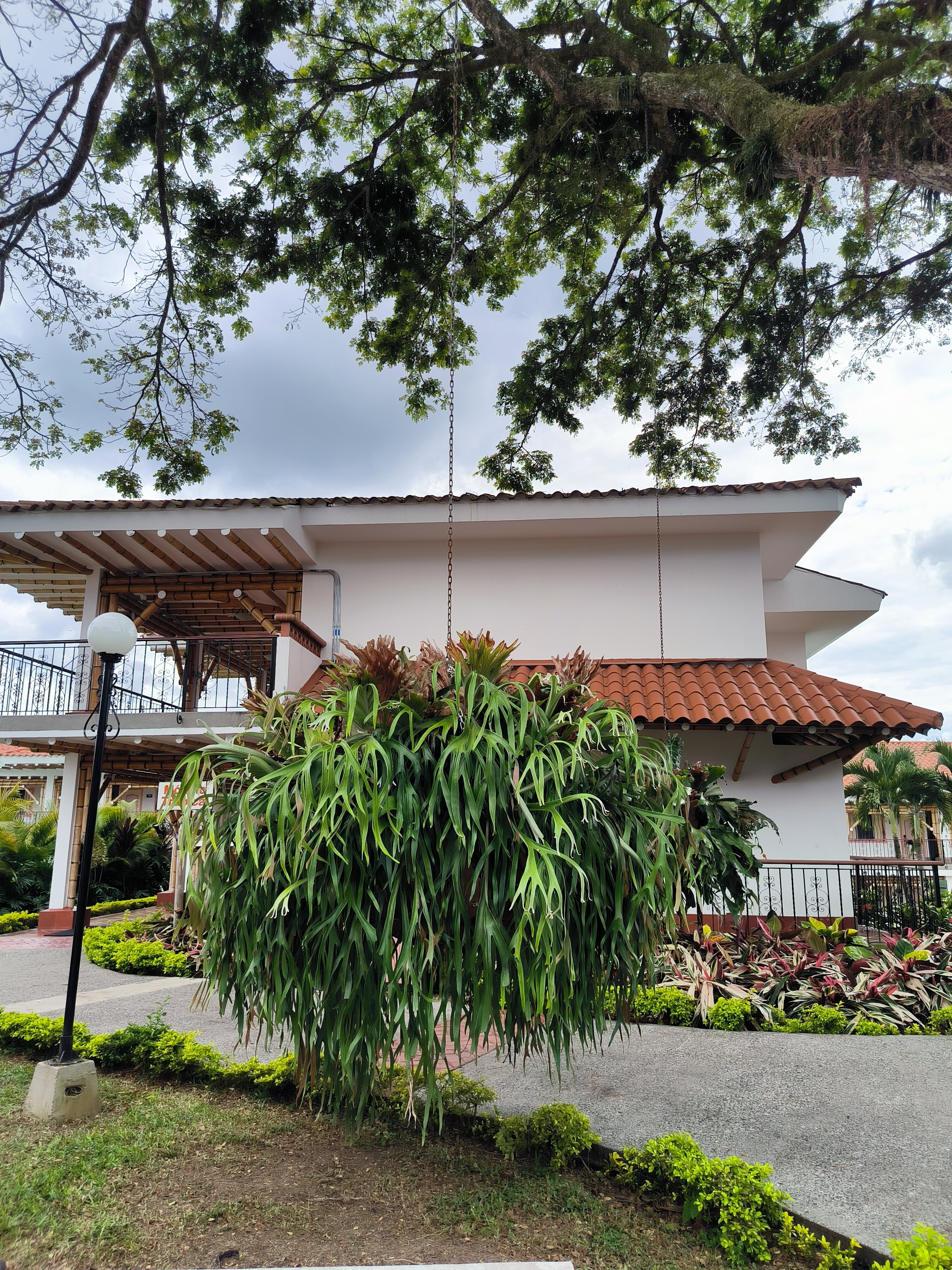 Las Camelias Hotel Campestre-官方