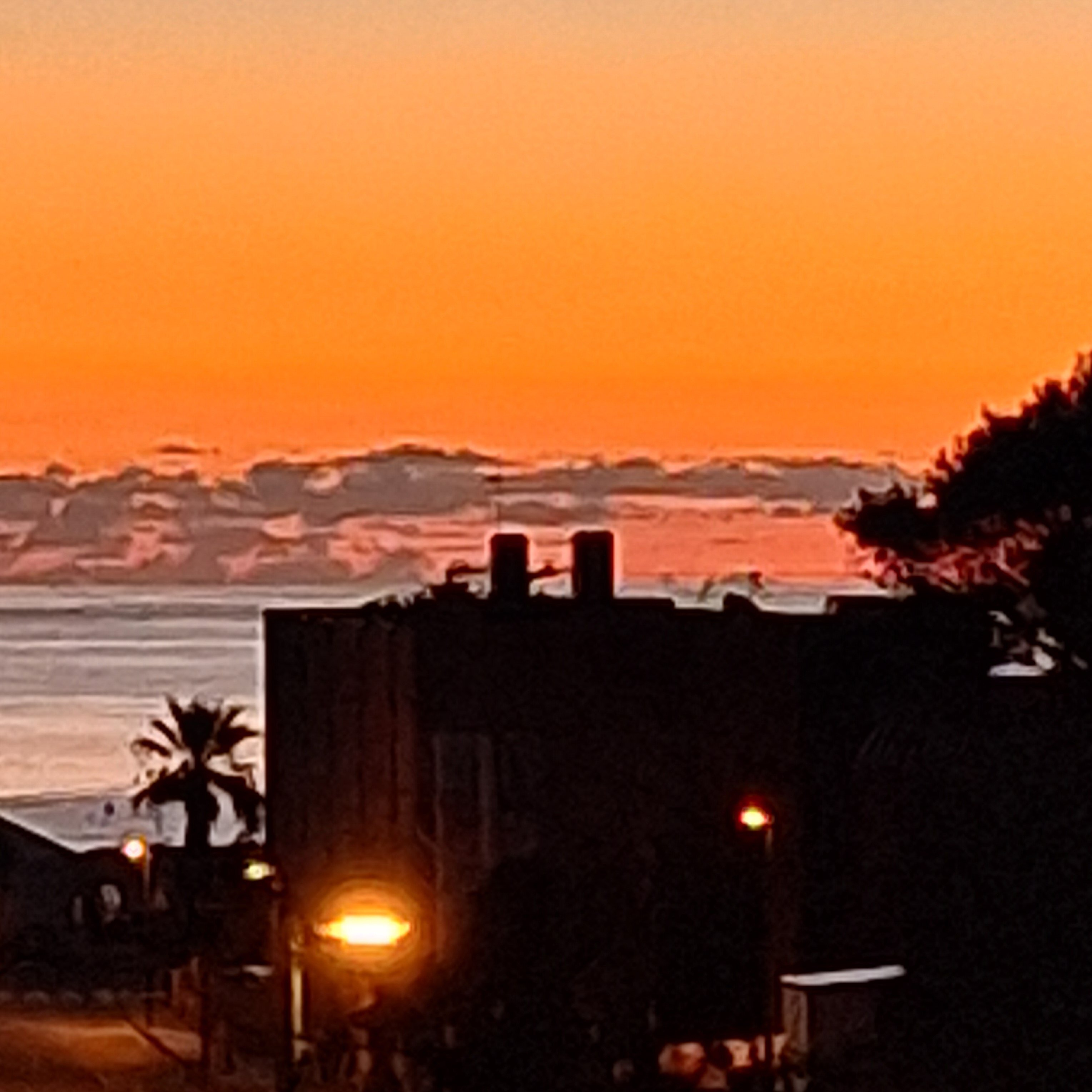 Comitas Isla Del Aire-官方