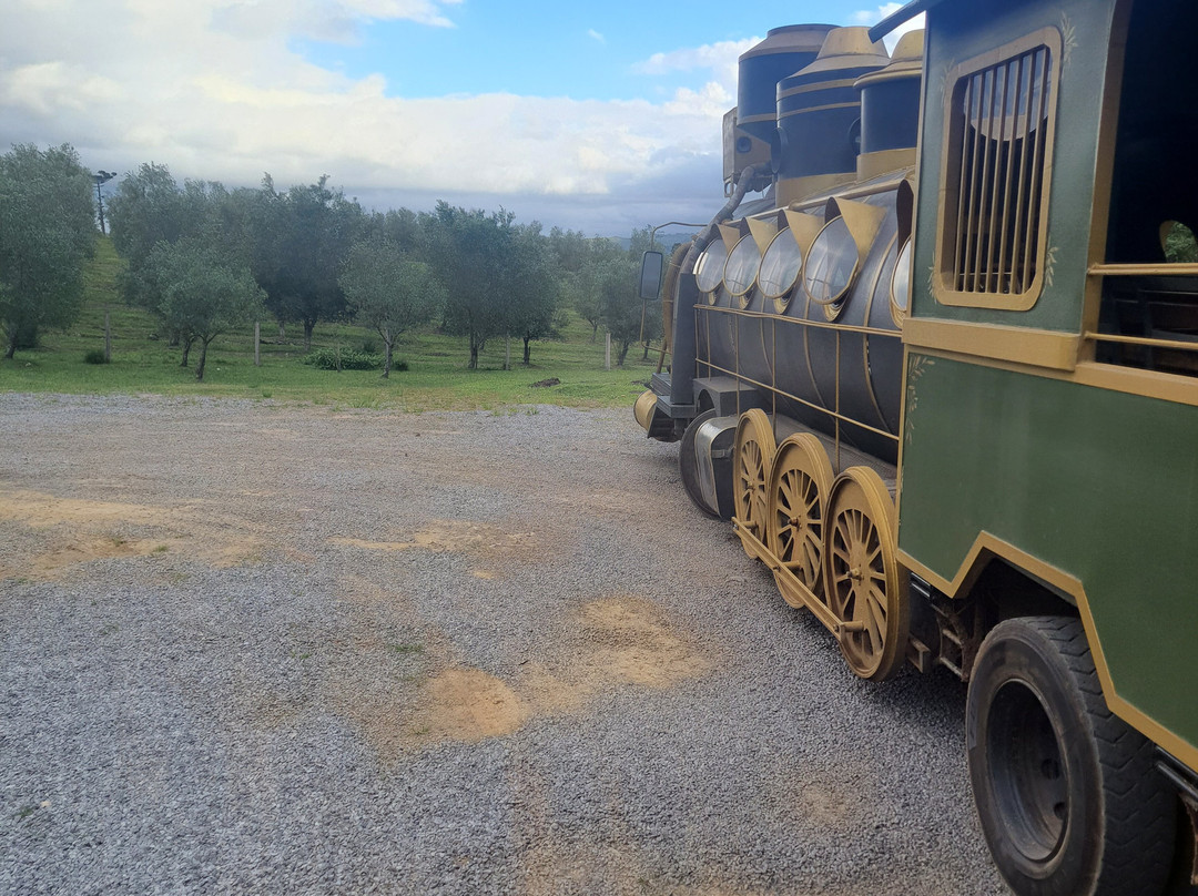 Parque Olivas de Gramado-格拉玛多必去景点