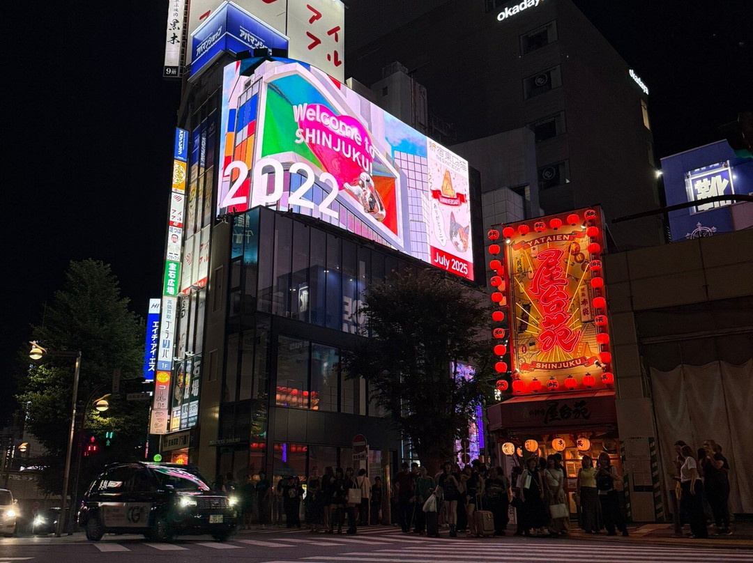 Giant 3d Cat Display Billboard-Shinjuku 3 Chome必去景点