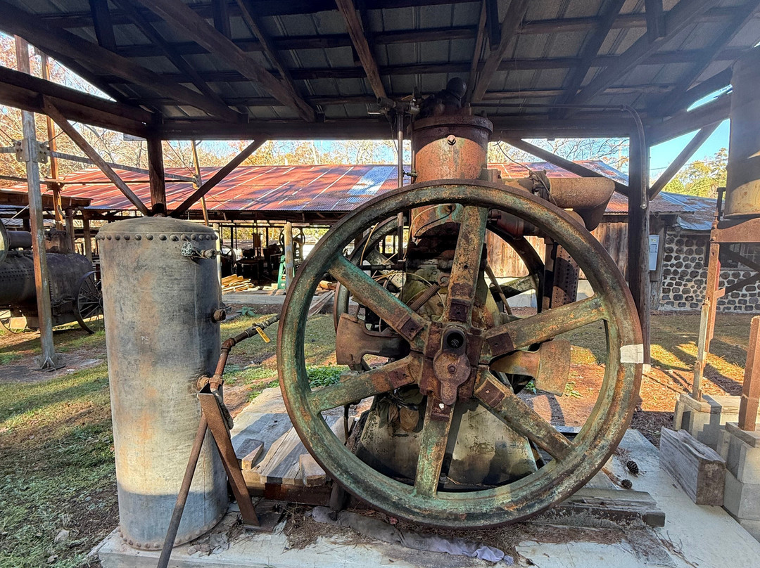 Ole Gilliam Mill Park-Sanford必去景点