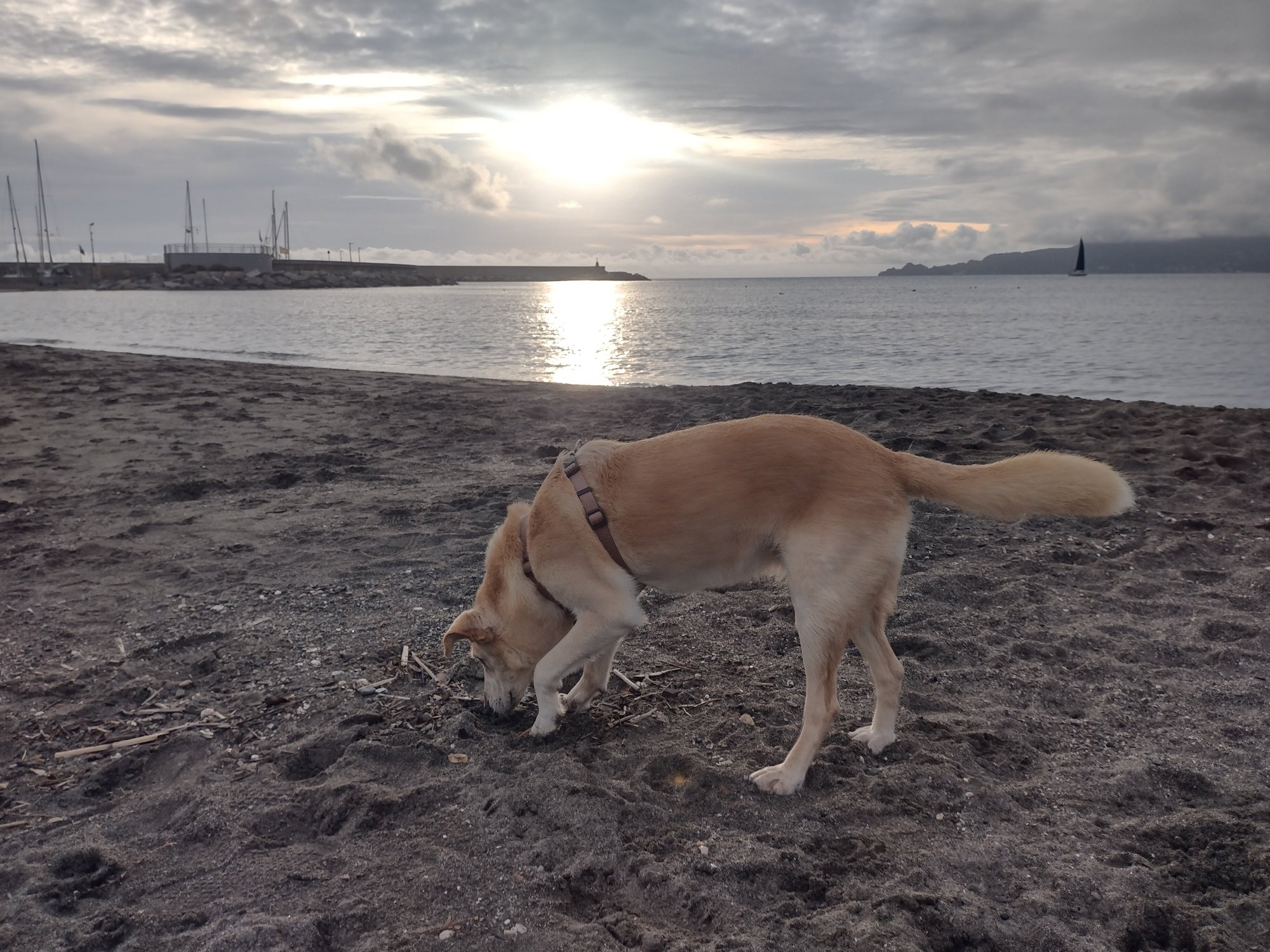 圣塔玛丽亚酒店-官方