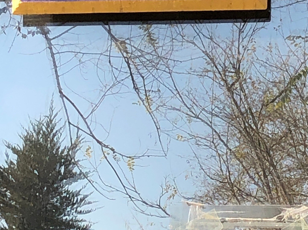 Avesto Monument-Urgench必去景点