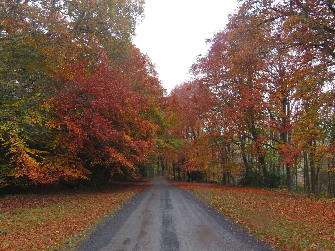 South Queensferry-爱丁堡必去景点