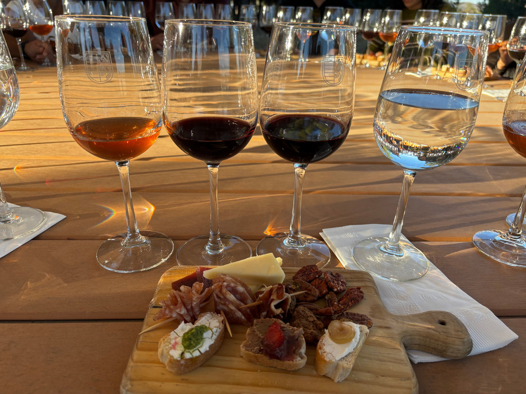 Bodega RGMX-Parras de la Fuente必去景点