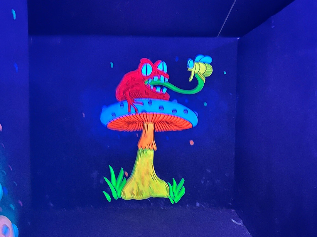 Pumpkin Time @ Sunnyfields Farm-Totton必去景点