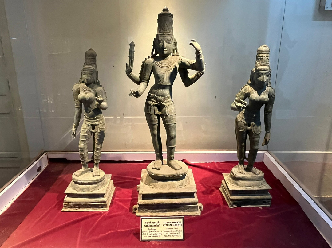 Government Museum-金奈（马德拉斯）必去景点