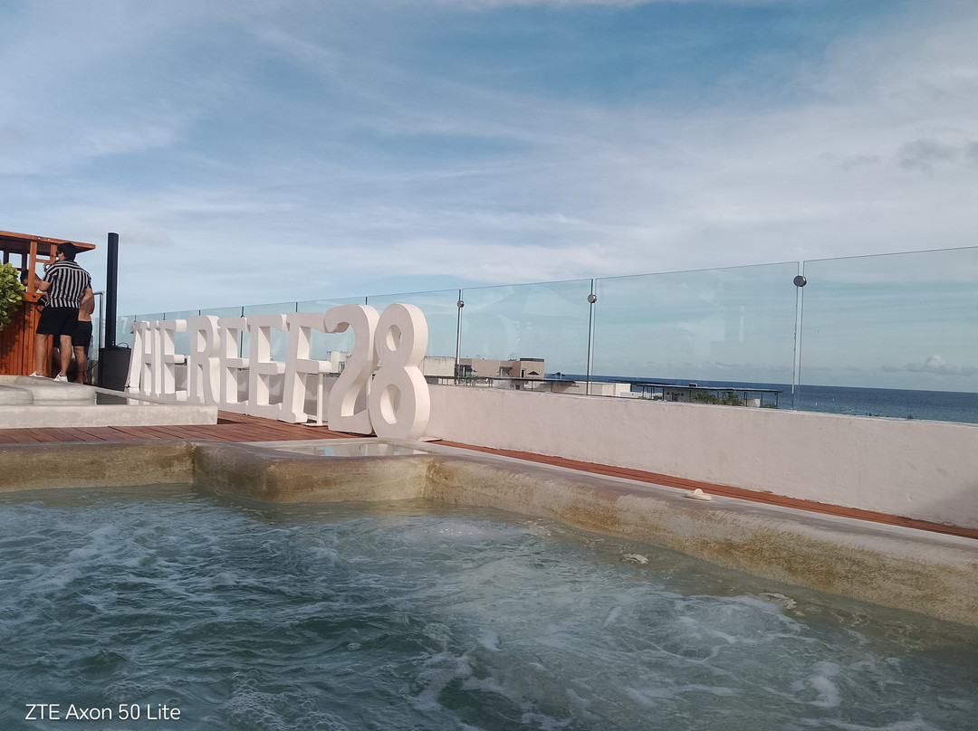 The Roof 28 - At The Reef 28-普拉亚德尔卡曼必去景点