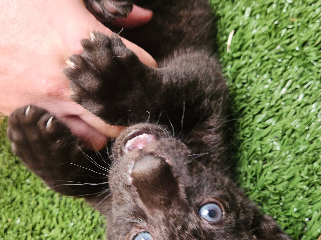 Pai Pai Ecotourism Park-恩塞纳达必去景点