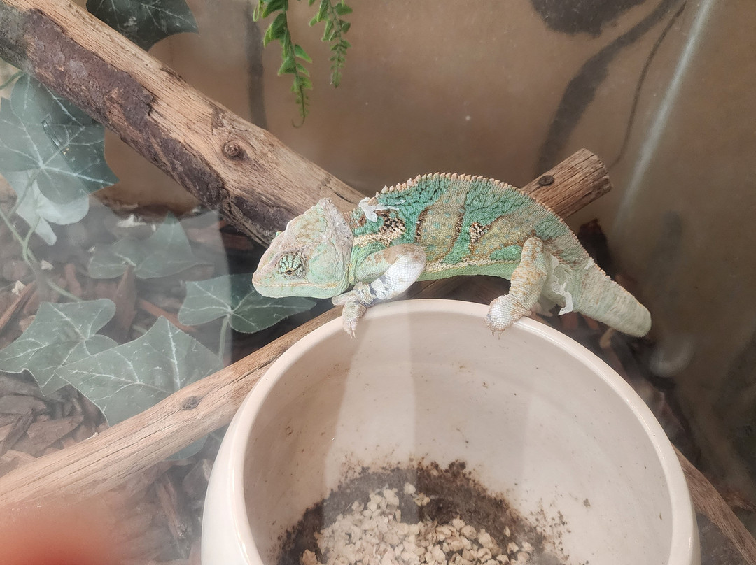 Floating Gardens of Xochimilco-墨西哥城必去景点