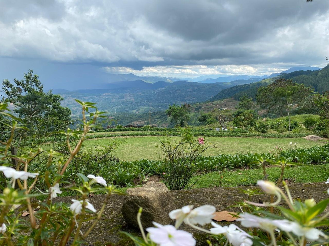 Bawlana Estate