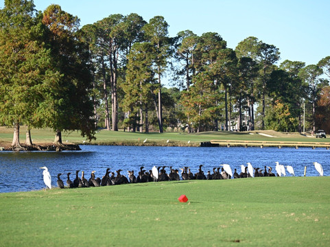 King's North At Myrtle Beach National-美特尔海滩必去景点