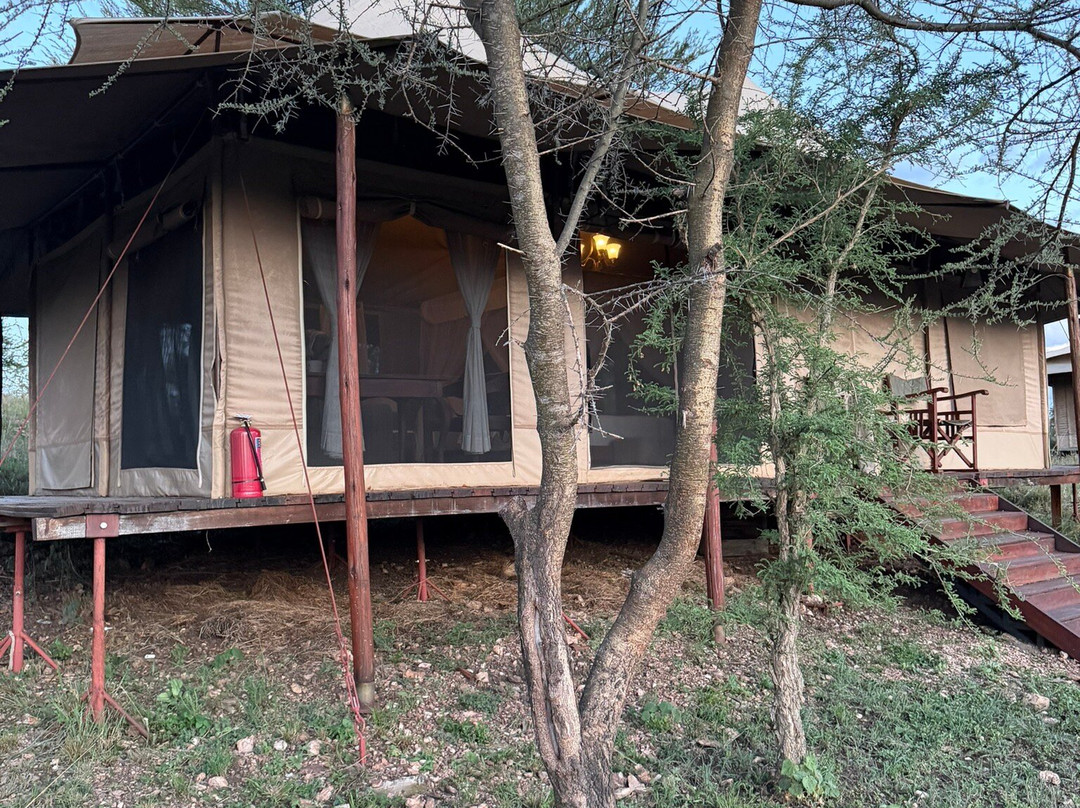 Matawi Serengeti Camp