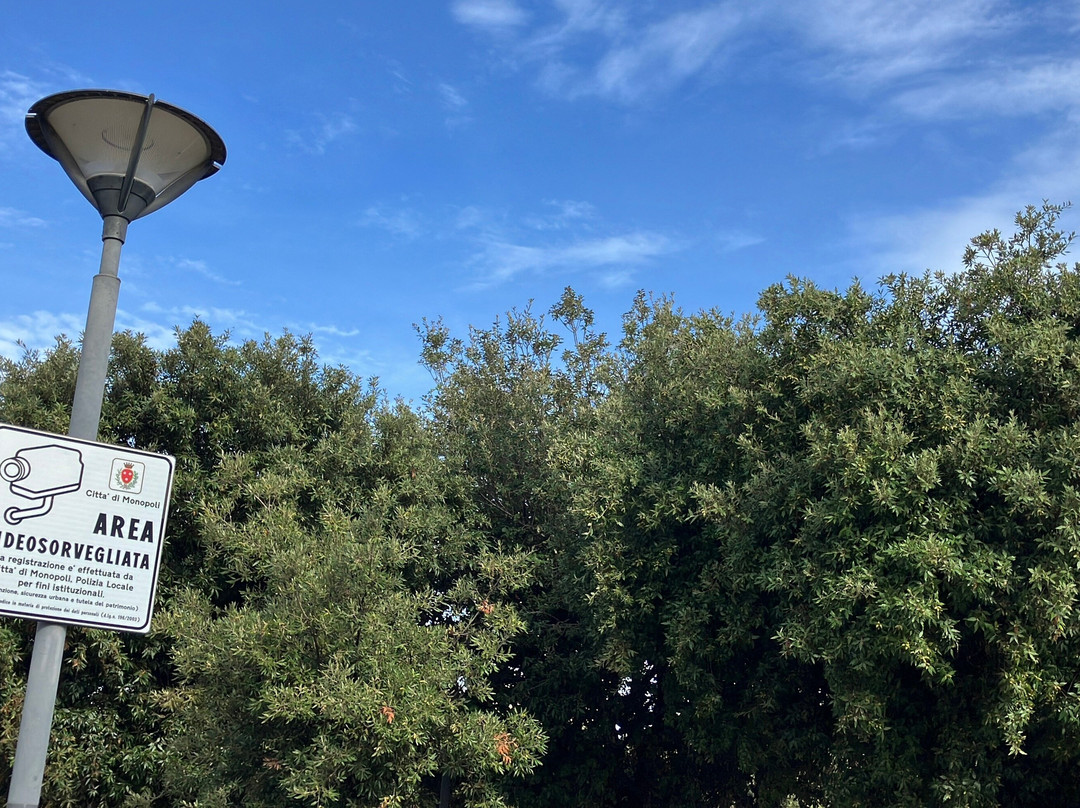 Piazza Vittorio Emanuele II-莫诺波利必去景点