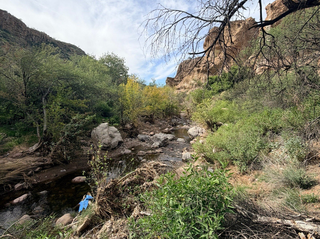 Boyce Thompson Arboretum-Superior必去景点