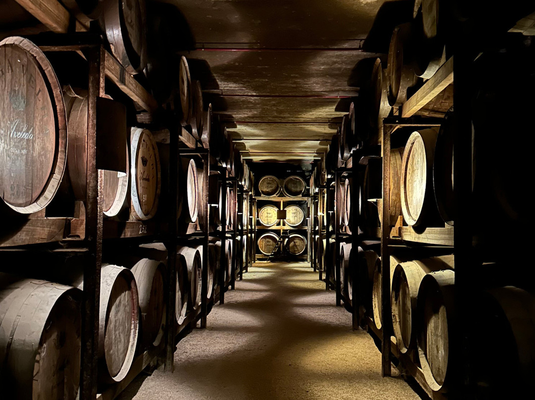 Quinta da Aveleda-Penafiel必去景点