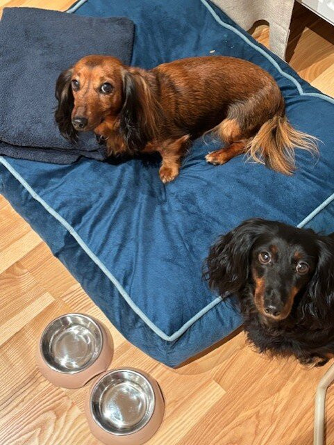 Hotell Syfabriken主图