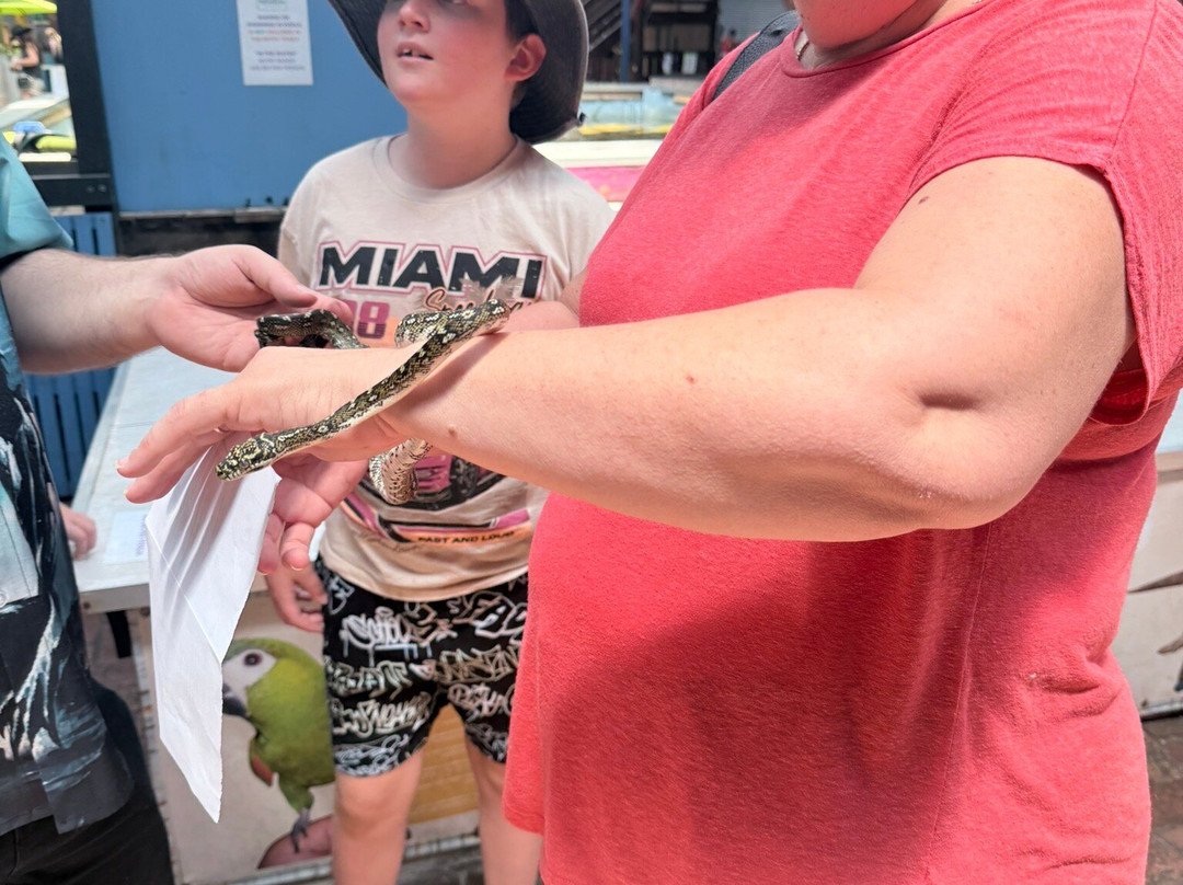 Shark And Ray Rescue Centre-Bobs Farm必去景点