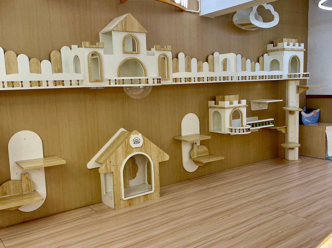 猫之茶房-香港必去景点