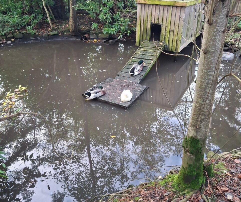Conwy Water Gardens-Rowen必去景点