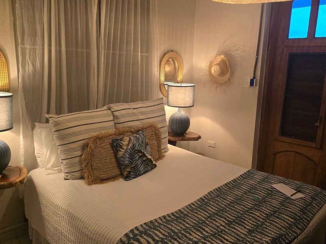 The English Rose Guest House主图