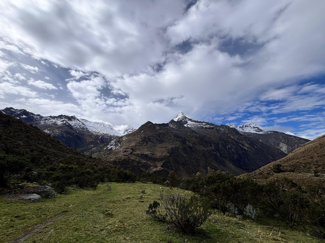 Williams Expedition Tours