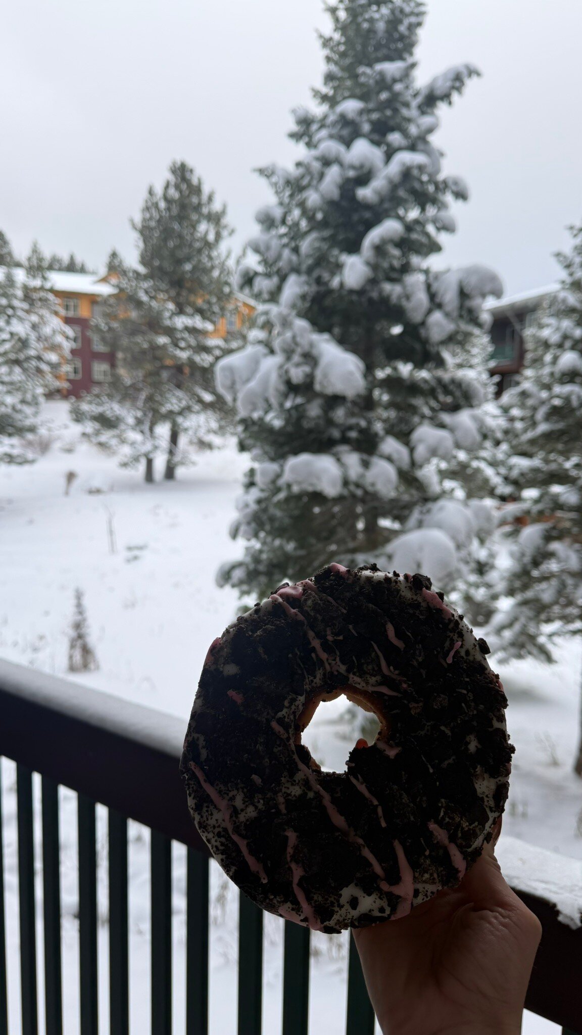 瞻博温泉度假村-官方