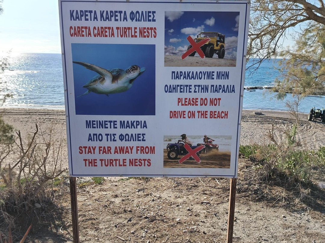 Limni Beach-Apolakkia必去景点