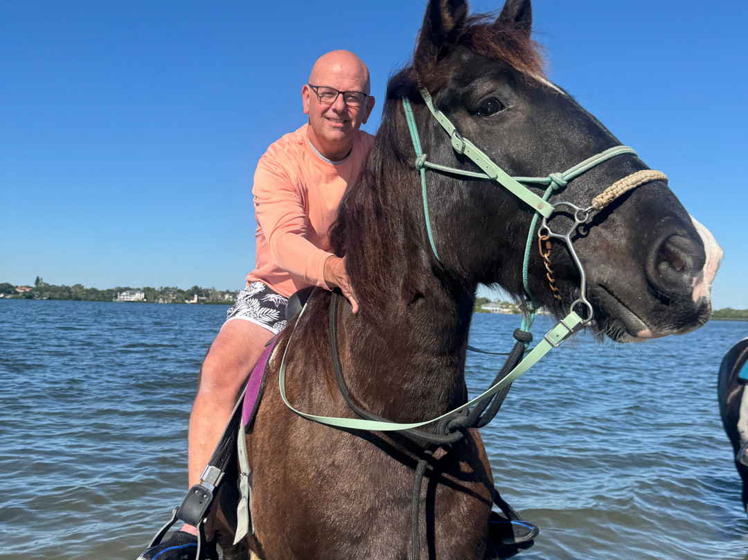 Florida Beach Horses-布雷登顿必去景点