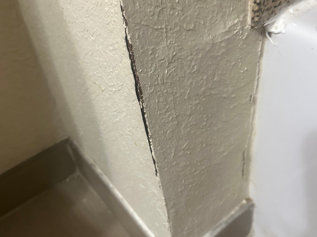 Comfort Suites Brunswick主图