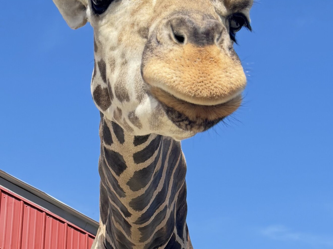 Zoo World Zoological Park-巴拿马城海滩必去景点