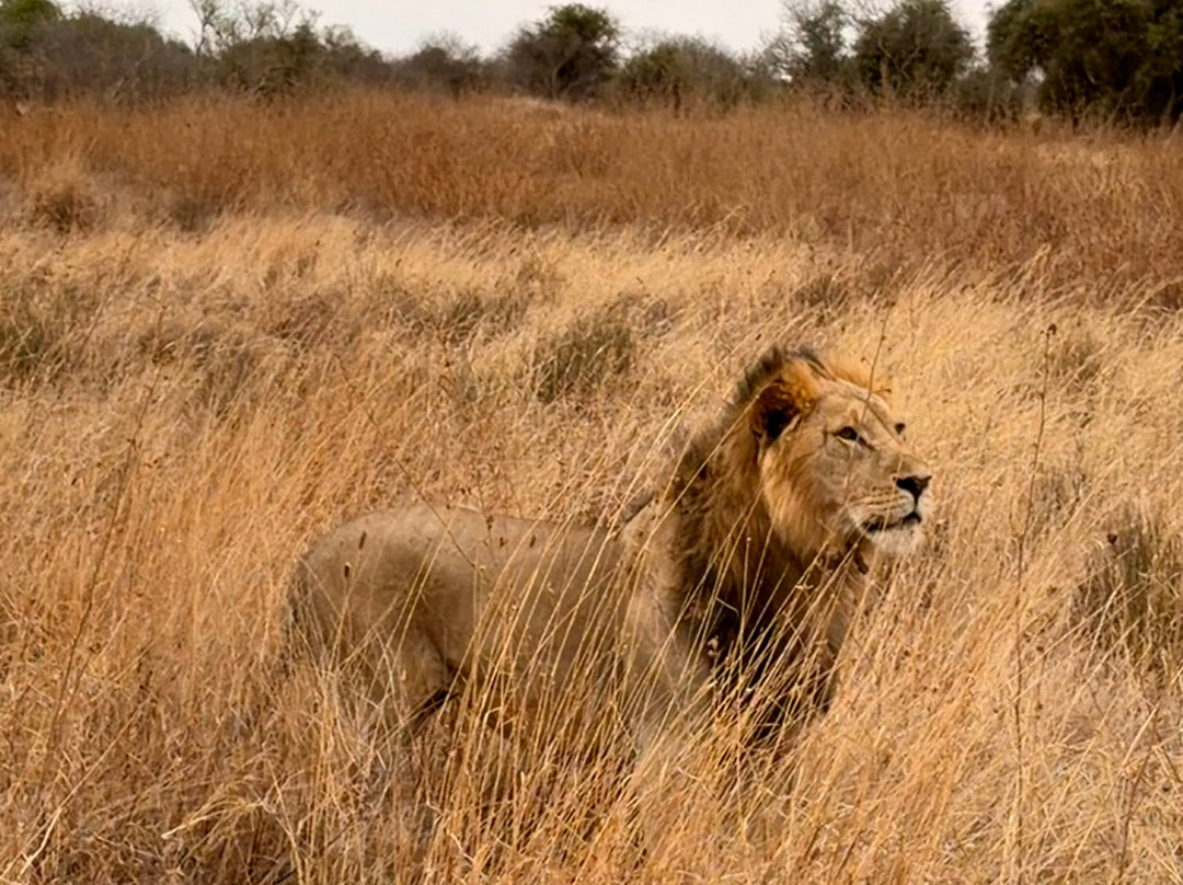 Gamewatchers Safaris-内罗毕必去景点