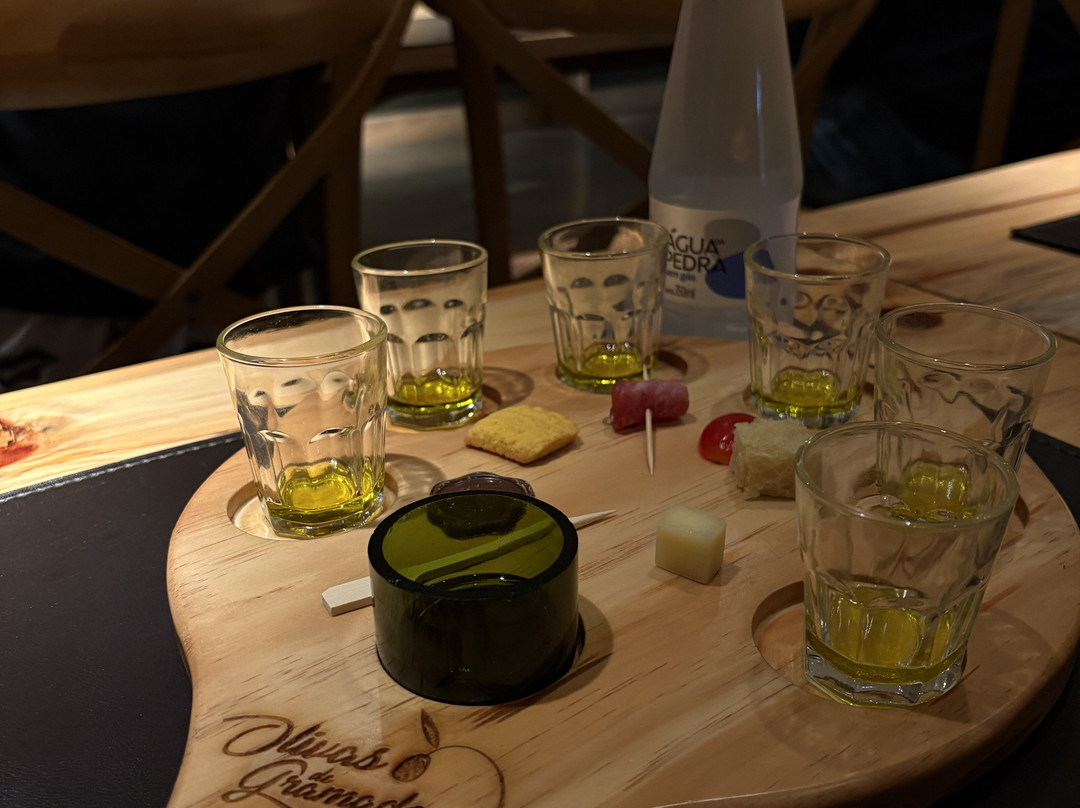 Parque Olivas de Gramado-格拉玛多必去景点