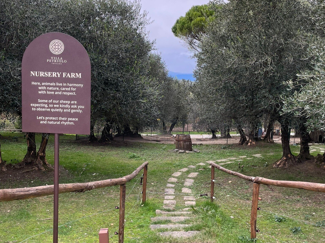 Villa Petriolo主图