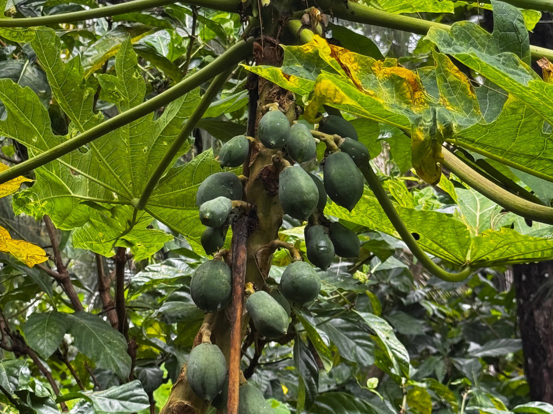 Guam Private Boat Trips-Merizo必去景点